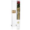 Aluisi Fiori - Rosa Stabilizzata con Gambo Rossa - Regalo Floreale Ideale per San Valentino, Anniversario e Occasioni romantiche. La Rosa Rossa è Il Simbolo eterno di Amore e Passione.