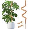 Haoledy Sostegno per Piante 120cm, Bastone per Piante Rampicanti Pieghevole, Supporto per Piante Monstera Fibra di Cocco per Piante Anima in Alluminio 7 mm, con 2 Pezzi Corda di Luta 2 m (1 Pezzi)