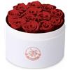 Dekun12 Rose Eternali Rosa Eterna nella Scatola 12 Regali di Rosa Eternizzata Regali per lei Regali Romantici Regali per Amici Regali per la Festa della Mamma Compleanno (Cassetta Bianca e Rose Rosse)