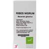 OTI SRL RIBES NIGRUM MACERATO GLICERICO 10% GOCCE 100ML
