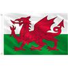 AZ FLAG Bandiera ANARCO-FEMMINISMO 45x30cm - BANDIERINA ANARCO