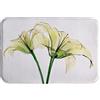 A.Monamour Tappetino per Il Bagno Antiscivolo Assorbente Morbido Tema Del Giardino Botanico Dei Fiori Del Giglio Giallo Dei Raggi X Tappeto Doccia Passatoia da Cucina Zerbino Cameretta 40x60cm