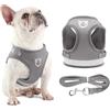 Generic Set di pettorina e guinzaglio per cani di piccola taglia e gatti