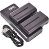 DSTE DE DSTE (2 pezzi) NP-F550, NP-F330, NP-F530, NP-F570 Batteria di ricambio + Ricarica Rapida Dual LCD Caricabatterie compatibile con Sony CCD-RV100