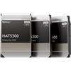 Synology HAT5300 Interne Festplatte 16TB 3.5″ - HAT5300-16T