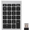 Goshyda Tastierino Numerico Wireless, 22 Tasti Tastiera Numerica Portatile USB 2.4G Bluetooth con Ricevitore, Tastiera per Contabilità Finanziaria per Laptop, PC, Notebook(Argento Nero)