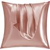 Vielit Set di 2 Federe Raso 80x80, Morbido Come Seta, Design Con Chiusura Cerniera per Cuscino, per Capelli Gold
