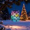 Nowupup Luci Natalizie LED per Albero di Natale e Casa - Decorazione Luminosa per Interni ed Esterni, Lanterna da Esterno, Decorativa per Giardino e Terrazzo- Settore