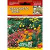 Sementi Dotto Gran Misto Fiori