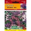 Sementi Dotto Statice Sinuata Mix