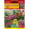 Sementi Dotto Fiori Per Giardini Rocciosi Mix
