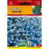 Sementi Dotto Lobelia Nana Blu