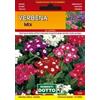 Sementi Dotto Verbena Mix