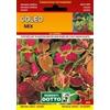 Sementi Dotto Coleo Mix