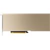 NVIDIA A10 - GPU-Rechenprozessor - NVIDIA A10 Tensor Core - 900-2G133-0020-000