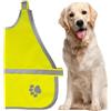 Generico Pettorina Rifrangente Per Cani, Giubbino Per Cani Per Visibilità Notturna, Impermeabile Ad Alta Visibilità Per Addestramento Sicurezza Escursionismo Caccia