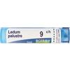 BOIRON Srl BO.LEDUM PALUSTRE Tubo 9CH