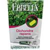 Sementi Dotto Dichondra Repens 100g