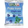 Sementi Dotto Prato Vero Trifoglio Nano 200g