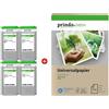 Prindo ORIGINAL Prindo Value Pack nero / ciano / magenta / giallo PRSBLC3213VALDRG MCVP Green ~1600 Seiten