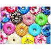 Fishwisdom - Puzzle con ciambella per adulti e adolescenti, 500 pezzi