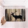 Tappeto in cocco Welcome - Zerbino 40 x 60 cm | Leroy Merlin