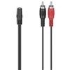 Hama Adattatore 00205186 Audio Jack 3.5MM H-2RCA M