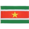 AZ FLAG BANDIERA SURINAME 90x60cm - BANDIERA SURINAMESE 60 x 90 cm - AZ FLAG