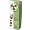 LIPOLIPASE CREMAGEL 150ML