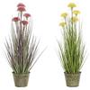 DKD Home Decor Impianto Ornamentale, Standard