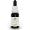 Australian Bush Flowers Australian Bush Flower Essences - Boronia Gocce, 15ml