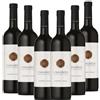 I MAGREDI - Cabernet Franc Friuli Grave DOC (750mlx6)