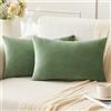 ANRODUO Confezione da 2 federe per cuscini in velluto verde salvia, 30 x 50 cm, decorative, morbide, in tinta unita, lombari, accoglienti, moderne, decorazioni per la casa, per divano, letto,