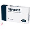 DIFASS INTERNATIONAL SPA NEPROST 10 SUPPOSTE DA 2 G