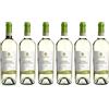 TONDINI Katala docg 2020 Tondini Vermentino di Gallura Superiore bott. 6 x 0,75L