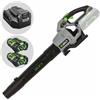 EGO LB6150E - Soffiatore a batteria - 2 batterie da 56V - 2.5Ah