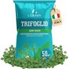 LERAVA Trifoglio Nano semi prato (50 m²) - Non richiede taglio - Semi trifoglio nano per prato verde - Migliora fertilità del suolo e copertura calpestabile - Fioritura bianca per giardini - 200g