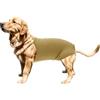 CAPASTEC Pannolini Fisiologici 1Pc per Cani Gatti Cinturino Regolabile