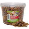 UGF Underground Food UGF - Miscela di insetti con Gammarus - 500 g in un secchio da 3 litri, cibo per ricci, cibo per gerbilli, criceti, ratti, lucertole - vermi della farina, larve di mosca soldato nera, bachi da seta