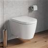 Duravit Plinero WC sospeso, 250809AA00, Plinero bianco [WC > WC Sospesi]