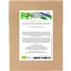 Magic Garden Seeds Classiche erbe aromatiche biologiche - set di semi con 5 essenziali erbe aromatiche biologiche