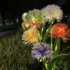 Creperture Lampade solari per esterni da giardino, 5 teste a LED con denti di leone, con fiori, IP65, impermeabili, per esterni, giardino, cortili, sentieri, colore bianco caldo