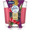 Glade Winter Berries 112 g