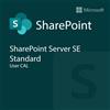 Microsoft SharePoint Server SE Standard User CAL