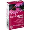OPTIMA NATURALS Srl Echinacea Fast Integratore Alimentare 20 Compresse - per il Benessere Orale e delle Vie Respiratorie