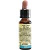 LABORATORIO ERBORISTICO DI LEO OLIVE 10ML DI LEO