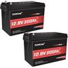 Dumfume Kit di 2 Batterie LiFePO4 12V 300Ah - 15.000+ Cicli, BMS 200A, 3840W - Batteria al Litio Fosfato Ricaricabile per Accumulo Solare, Camper e Applicazioni Off-Grid