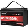 Dumfume Batteria al Litio 12V 100Ah LiFePO4 (1,28kWh) - Gruppo 24, BMS 100A, 15.000 Cicli, Alta Densità Energetica - Per Camper, Solare e Applicazioni Off-Grid