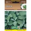 Sementi Dotto Salvia