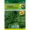 Sementi Dotto Valeriana d'Olanda a Seme Grosso
